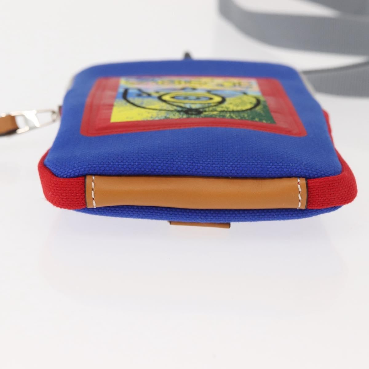 Loewe Eye/Loewe/Nature Zip Neck Pouch Canvas with Applique, BLUE, CANVAS, Clutche & pouche