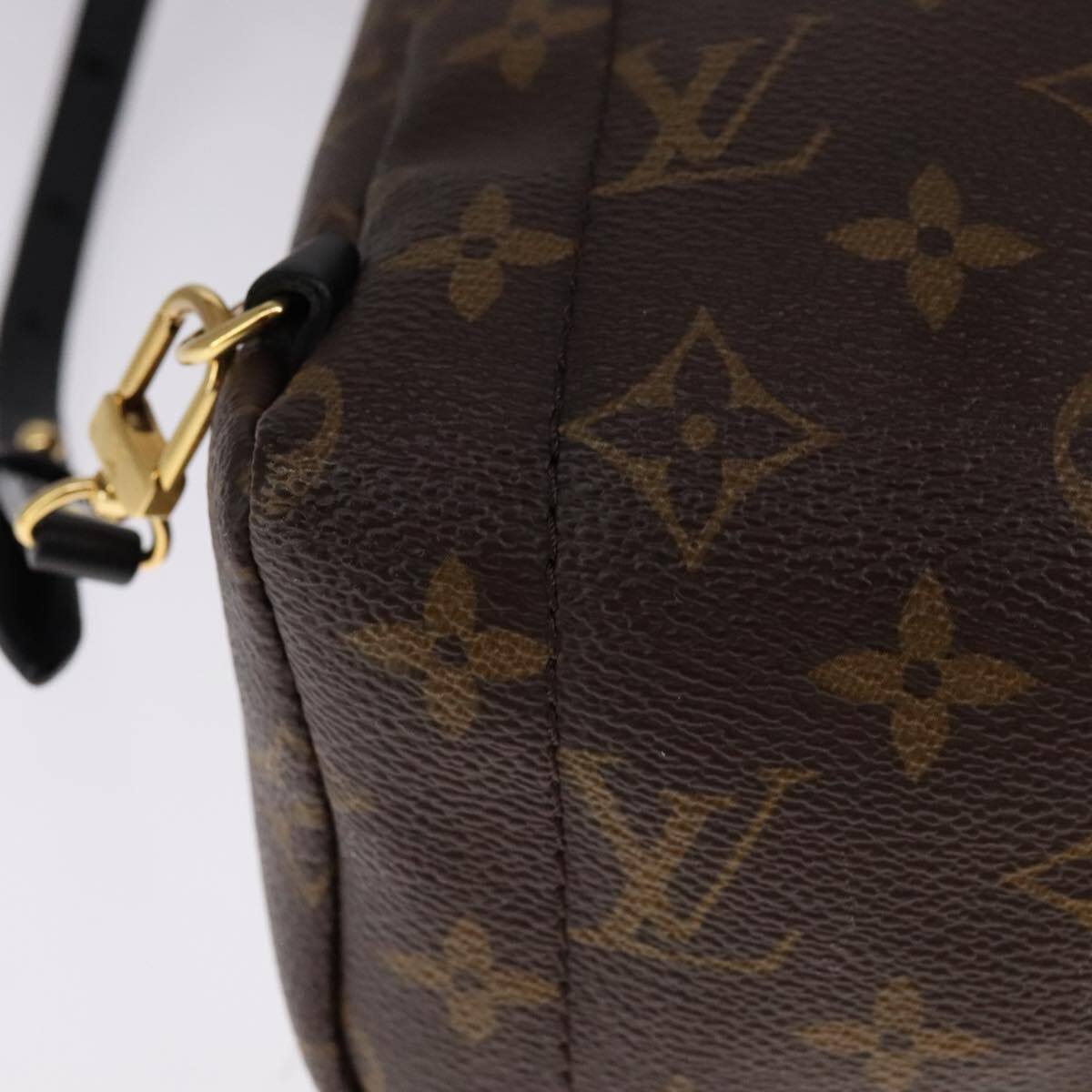 Louis Vuitton Palm Springs Backpack Monogram Canvas, BROWN, CANVAS, Backpack