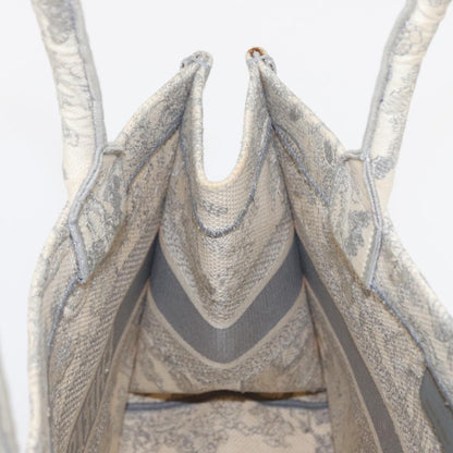 Christian Dior Book Tote Embroidered Canvas, GRAY, CANVAS, Tote bag