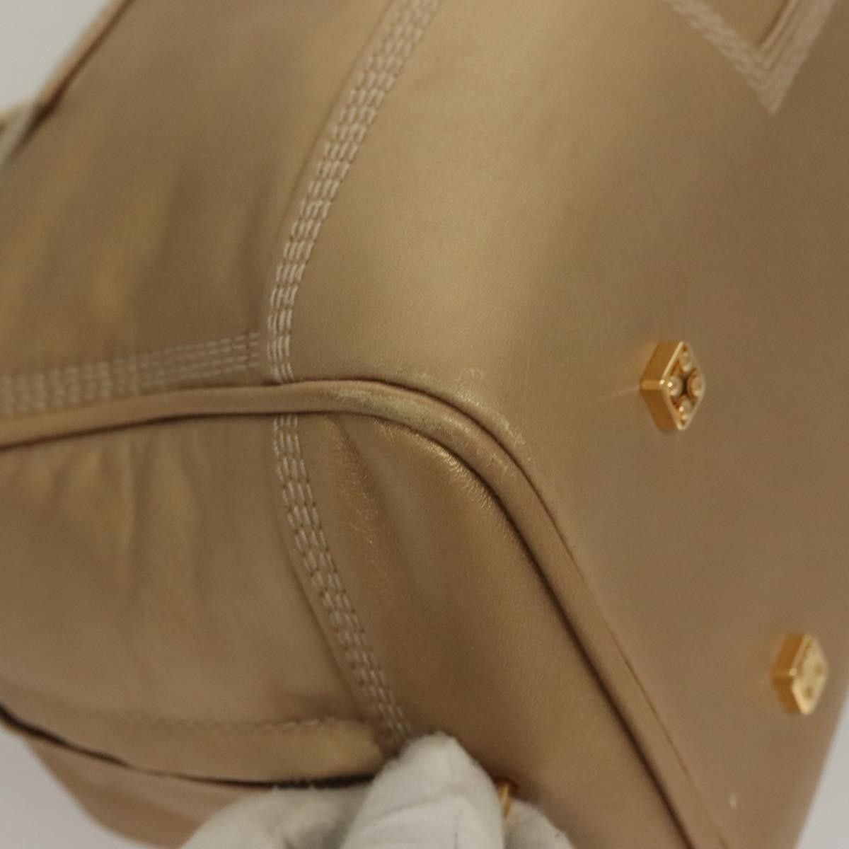 Loewe Amazona Bag Leather, GOLD, LEATHER, Handbag