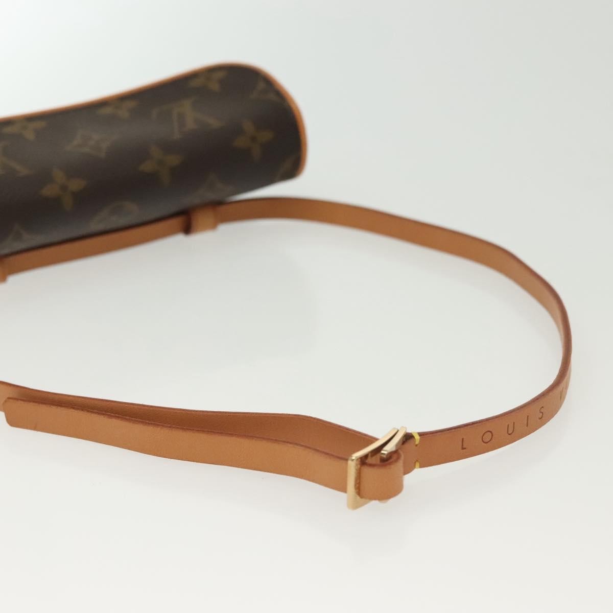 Louis Vuitton Florentine Waist Bag Monogram Canvas, BROWN, CANVAS, Clutche & pouche