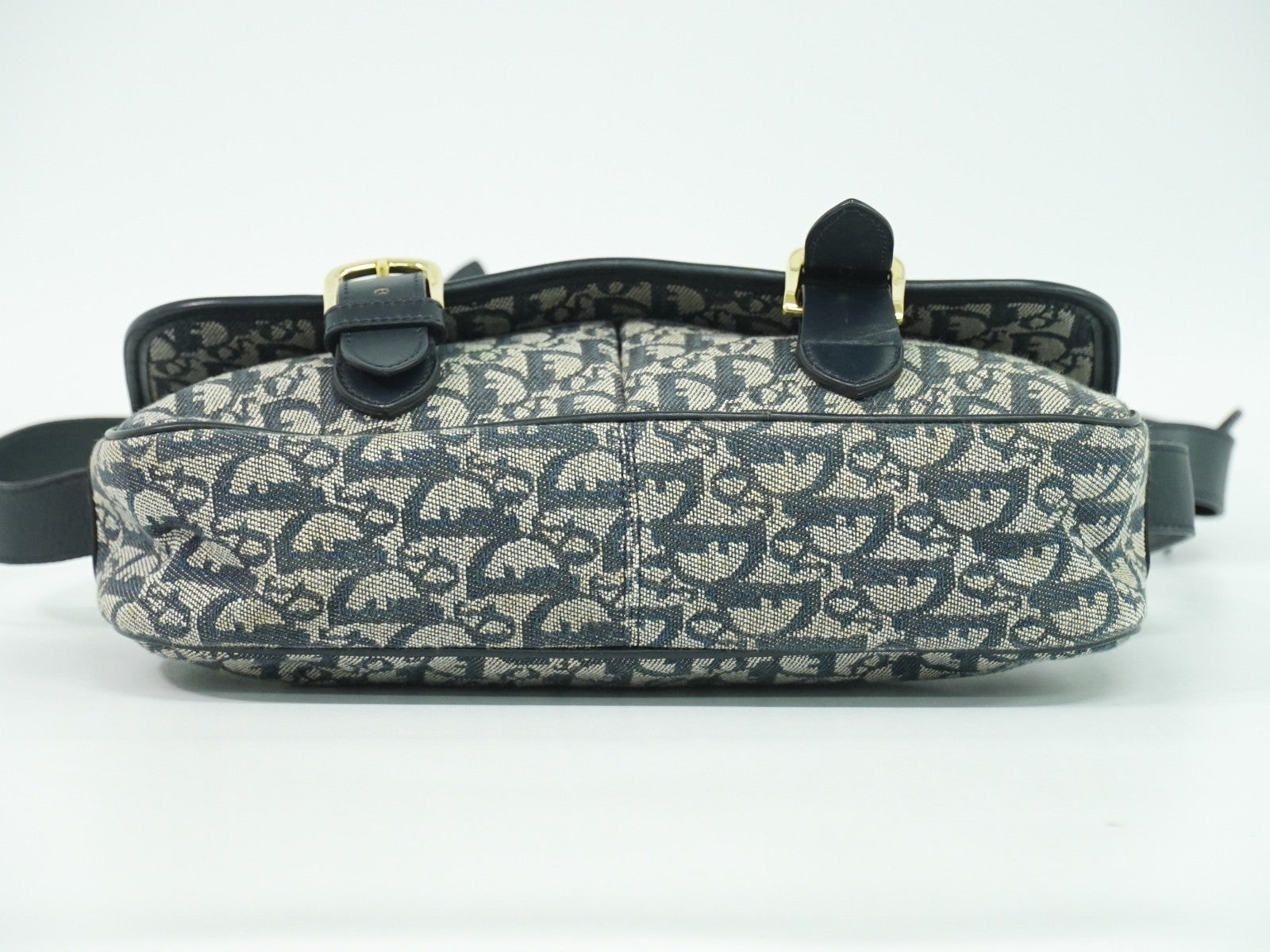 Christian Dior Trotter shoulder bag Canvas, GRAY, CANVAS, Shoulder bag