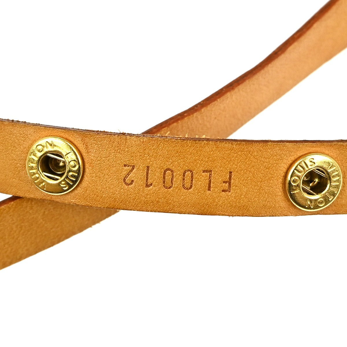 Louis Vuitton Florentine Waist Bag Monogram Canvas, BROWN, CANVAS, Clutche & pouche