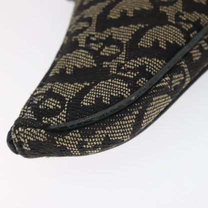 Christian Dior Saddle coin purse Trotter canvas, BLACK, CANVAS, Wallets