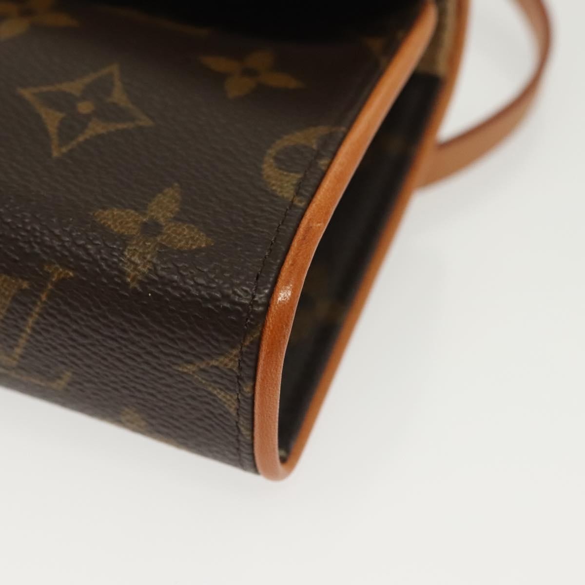 Louis Vuitton Florentine Waist Bag Monogram Canvas, BROWN, CANVAS, Clutche & pouche