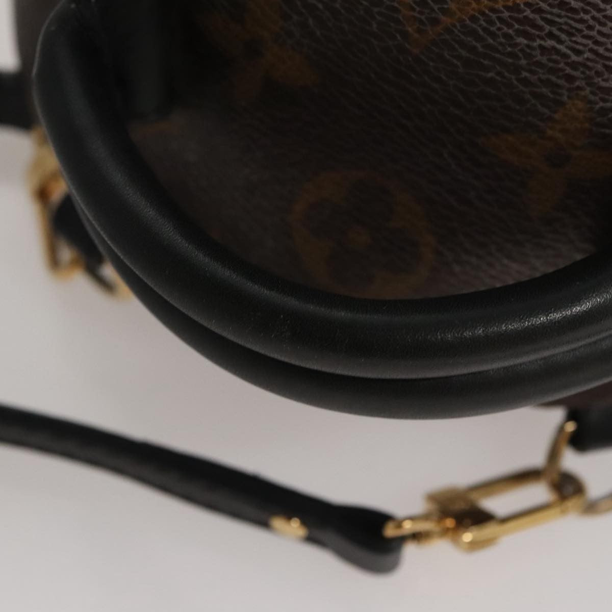 Louis Vuitton Palm Springs Backpack Monogram Canvas, BROWN, CANVAS, Backpack