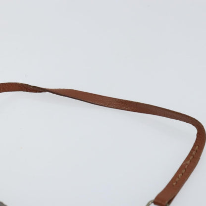 Louis Vuitton Papillon Pochette Monogram Canvas, BROWN, CANVAS, Clutche & pouche