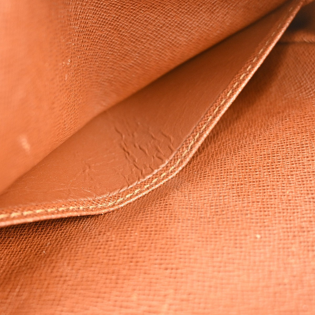 Louis Vuitton Amazone Bag Monogram Canvas, BROWN, CANVAS, Clutche & pouche