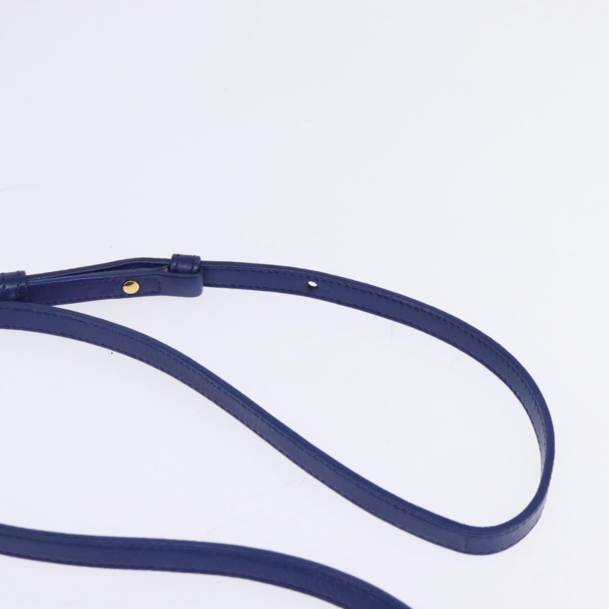 Celine Trio Crossbody Bag Leather, BLUE, LEATHER, Crossbody bag