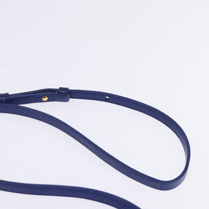 Celine Trio Crossbody Bag Leather, BLUE, LEATHER, Crossbody bag