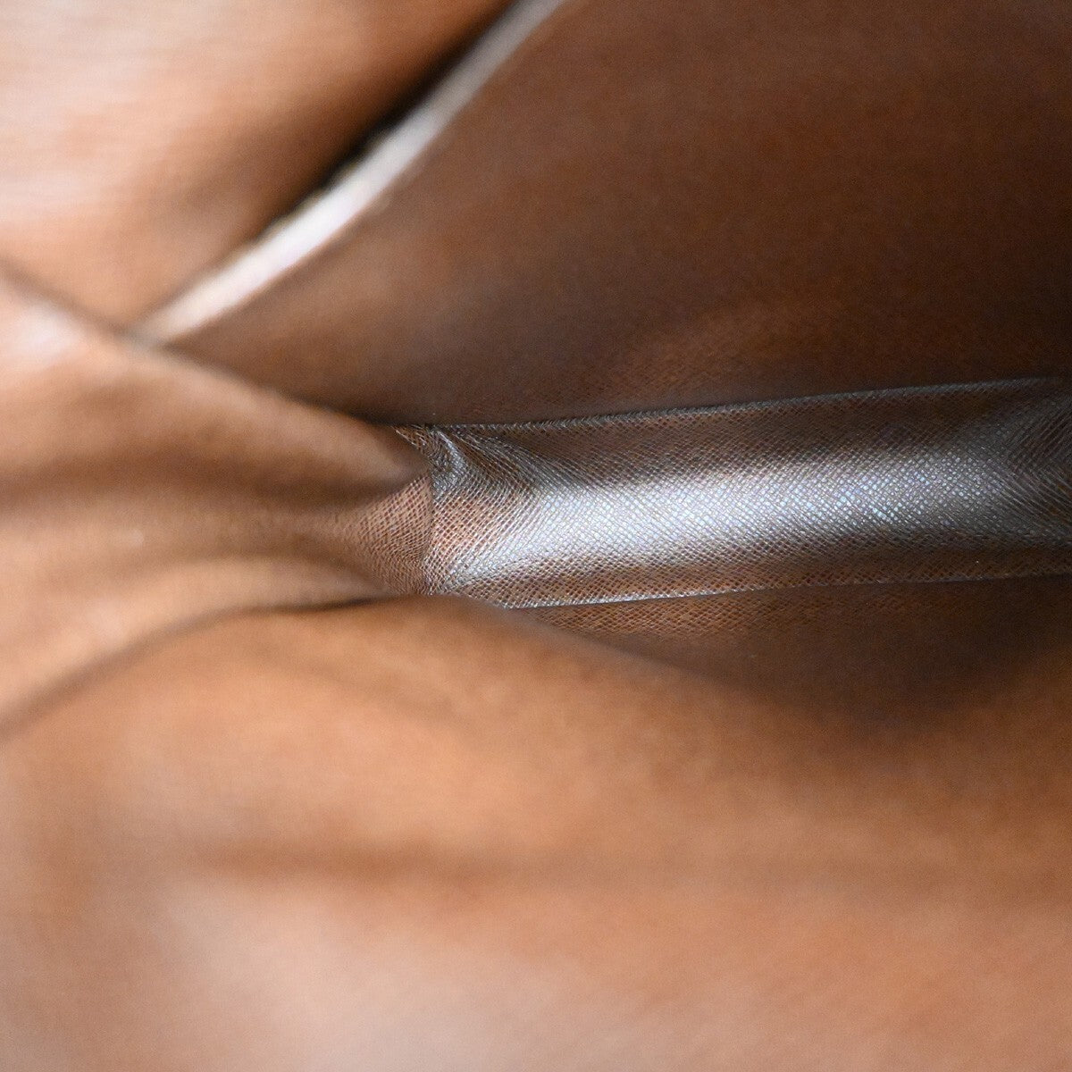 Louis Vuitton Amazone Bag Monogram Canvas, BROWN, CANVAS, Crossbody bag