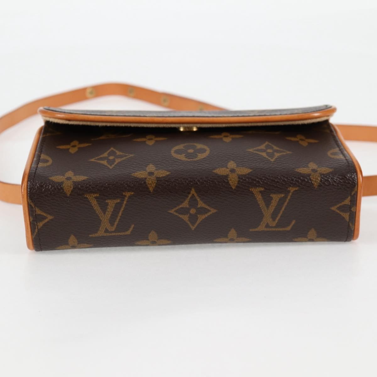 Louis Vuitton Florentine Waist Bag Monogram Canvas, BROWN, CANVAS, Shoulder bag