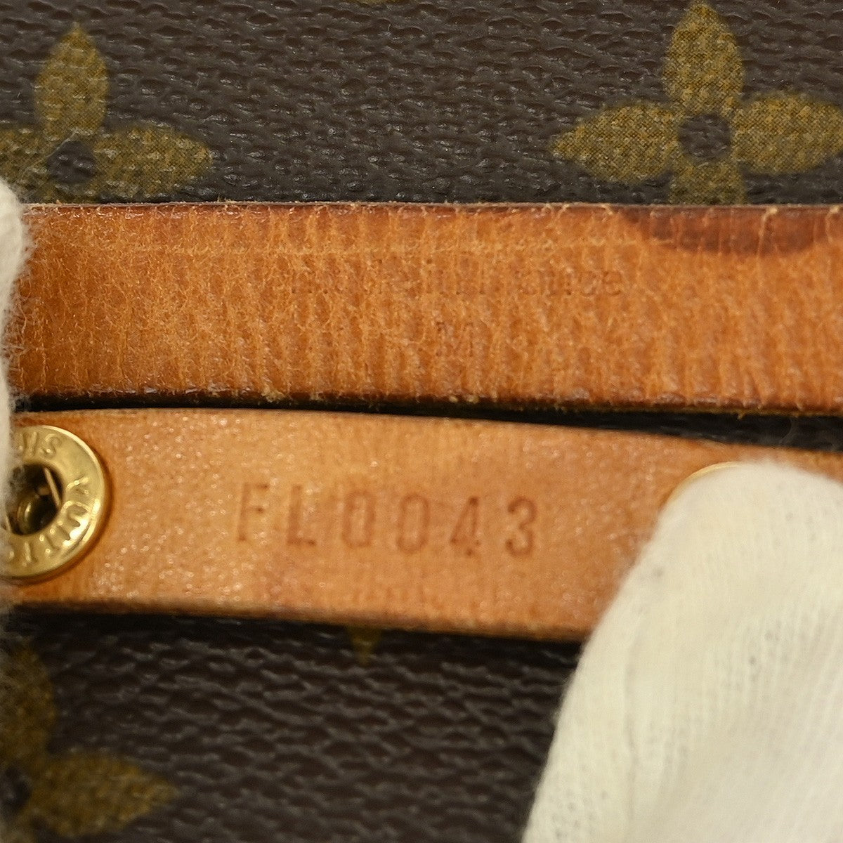 Louis Vuitton Florentine Waist Bag Monogram Canvas, BROWN, CANVAS, Clutche & pouche