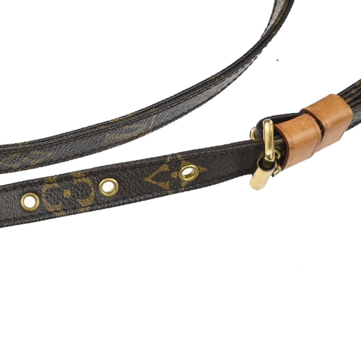 Louis Vuitton Amazone Bag Monogram Canvas, BROWN, CANVAS, Shoulder bag