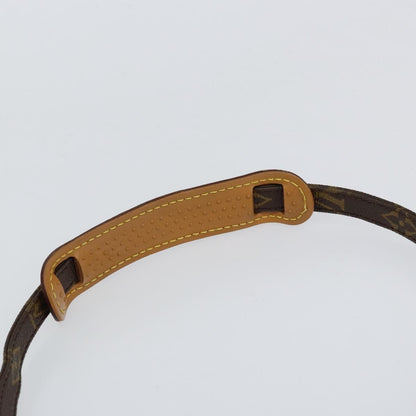 Louis Vuitton Amazone Bag Monogram Canvas, BROWN, CANVAS, Shoulder bag