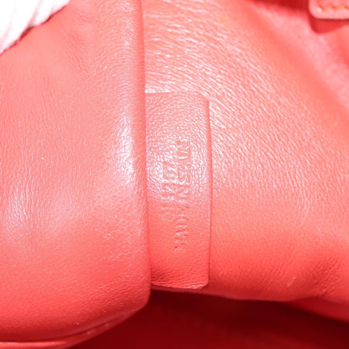 Loewe Amazona Bag Leather, ORANGE, LEATHER, Handbag