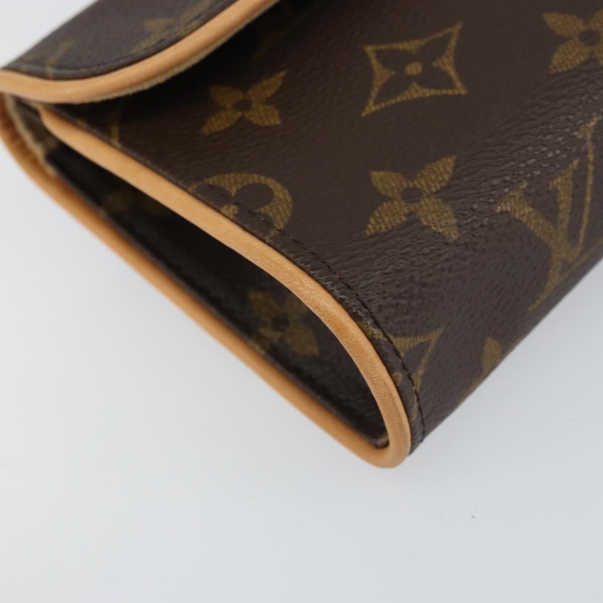 Louis Vuitton Florentine Waist Bag Monogram Canvas, BROWN, CANVAS, Clutche & pouche