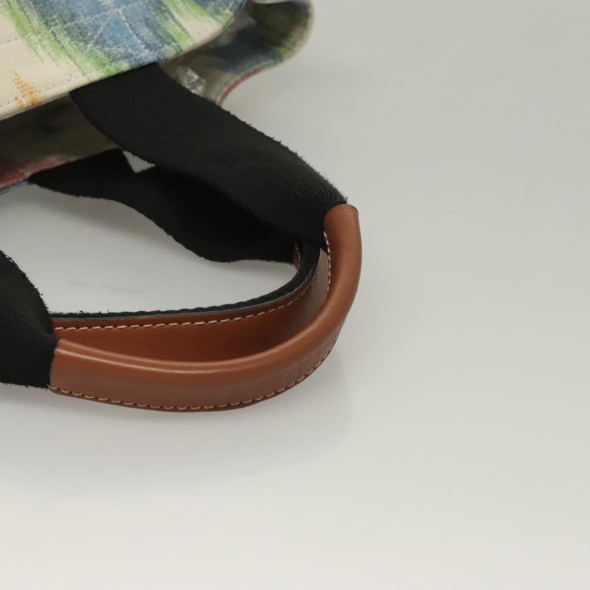 Loewe Paula's Ibiza Tote Embellished Printed Canvas, MULTICOLOUR, CANVAS, Tote bag