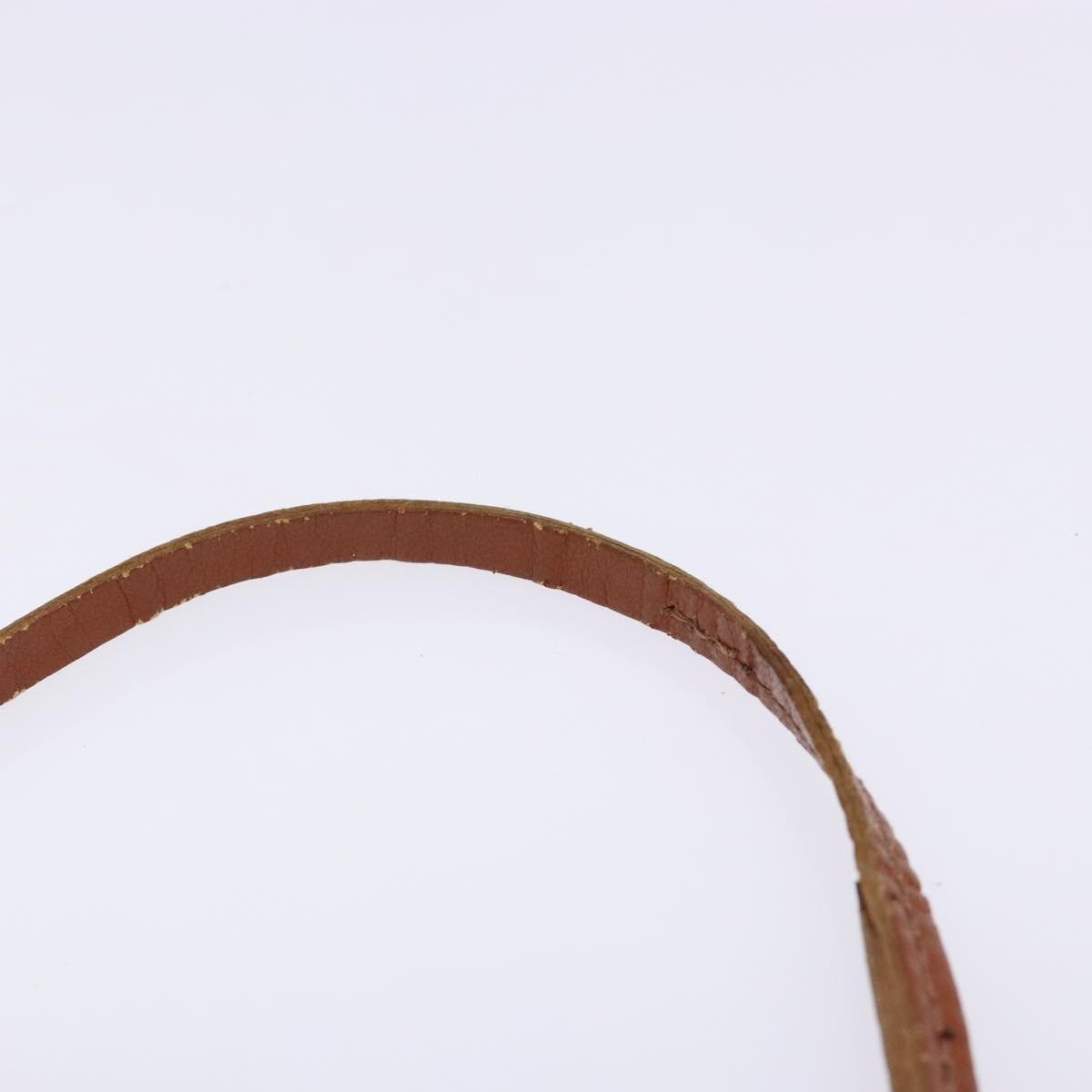 Louis Vuitton Papillon Pochette Monogram Canvas, BROWN, CANVAS, Handbag