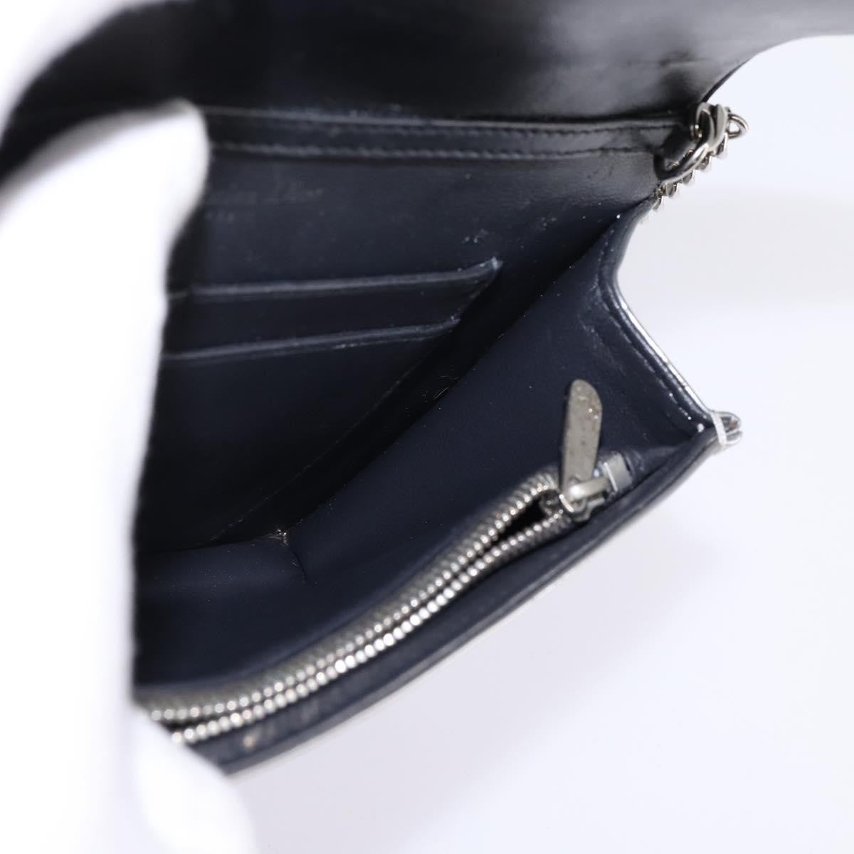 Christian Dior Diorama Wallet on Chain Metallic Distressed Calfskin, SILVER, LEATHER, Wallets