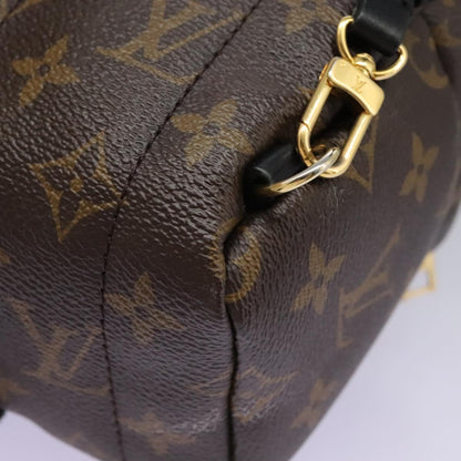Louis Vuitton Palm Springs Backpack Monogram Canvas, BROWN, CANVAS, Backpack