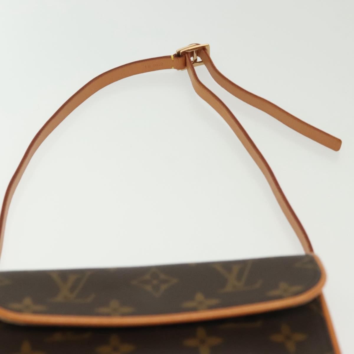 Louis Vuitton Florentine Waist Bag Monogram Canvas, BROWN, CANVAS, Clutche & pouche