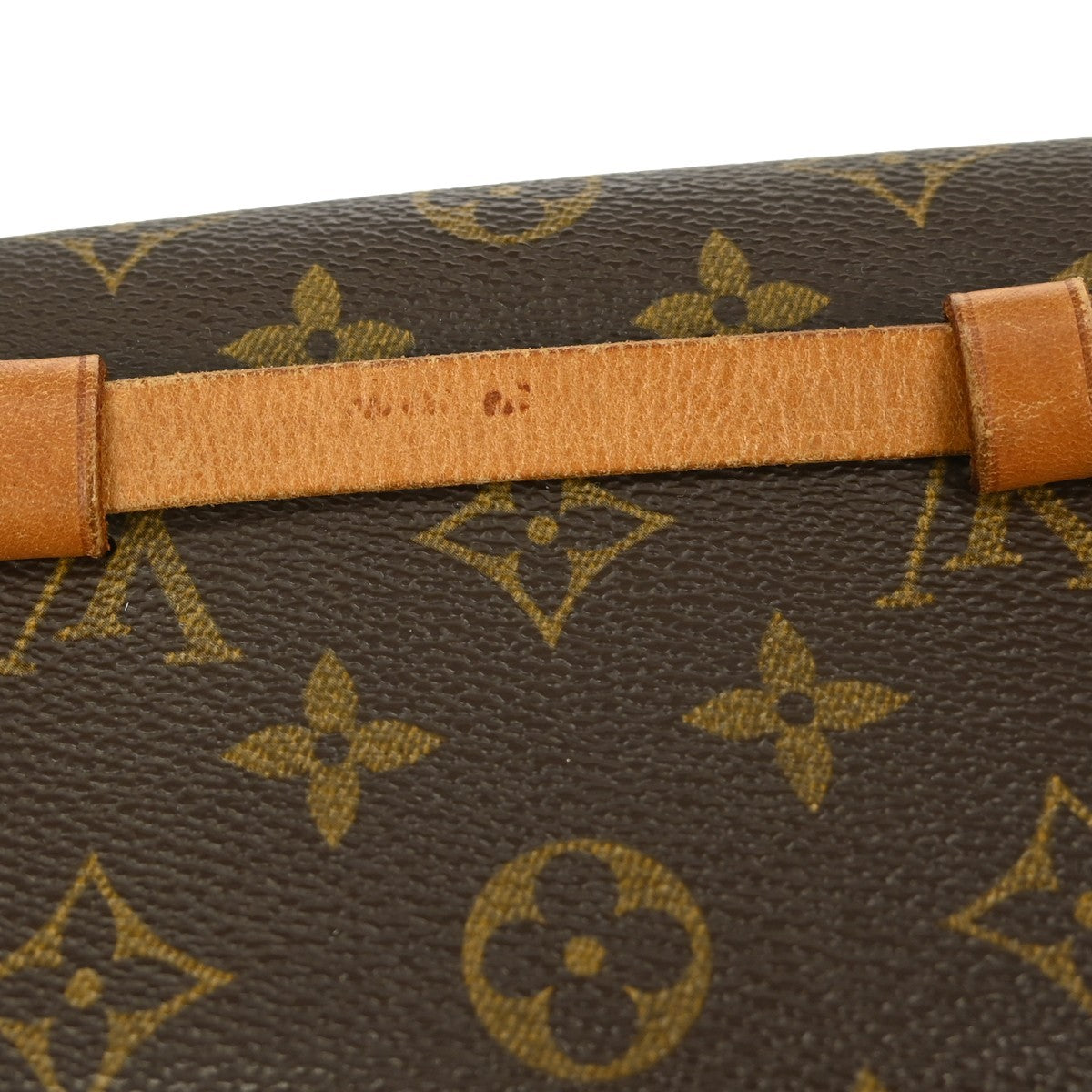 Louis Vuitton Florentine Waist Bag Monogram Canvas, BROWN, CANVAS, Clutche & pouche