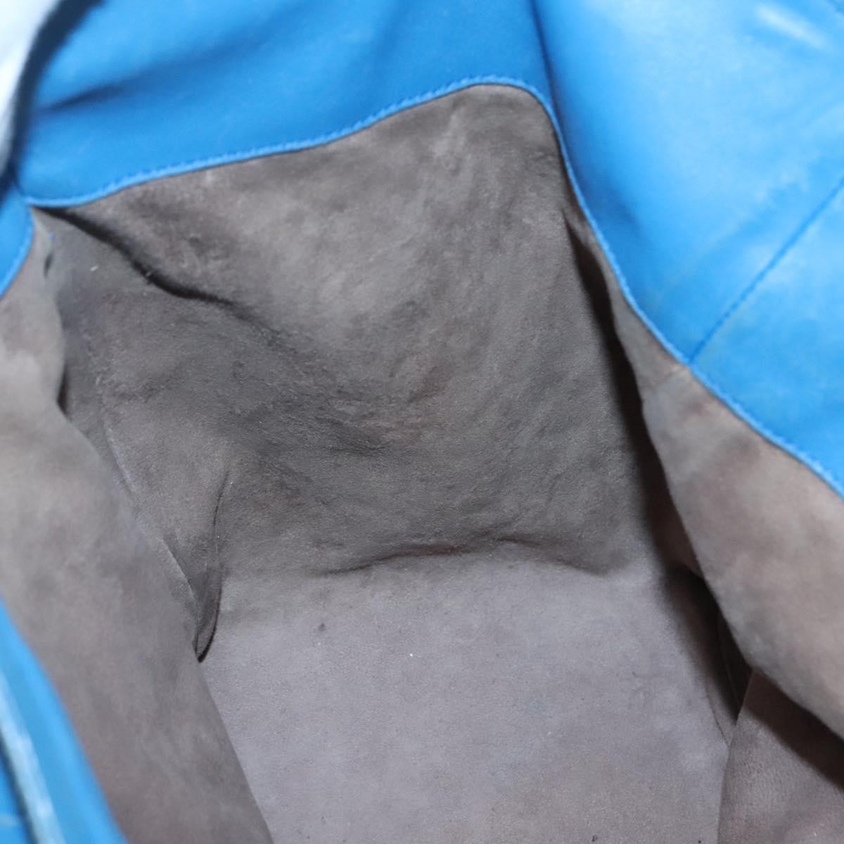 Bottega Veneta Belted Zip Chain Tote Intrecciato Nappa with Snakeskin, BLUE, LEATHER, Tote bag