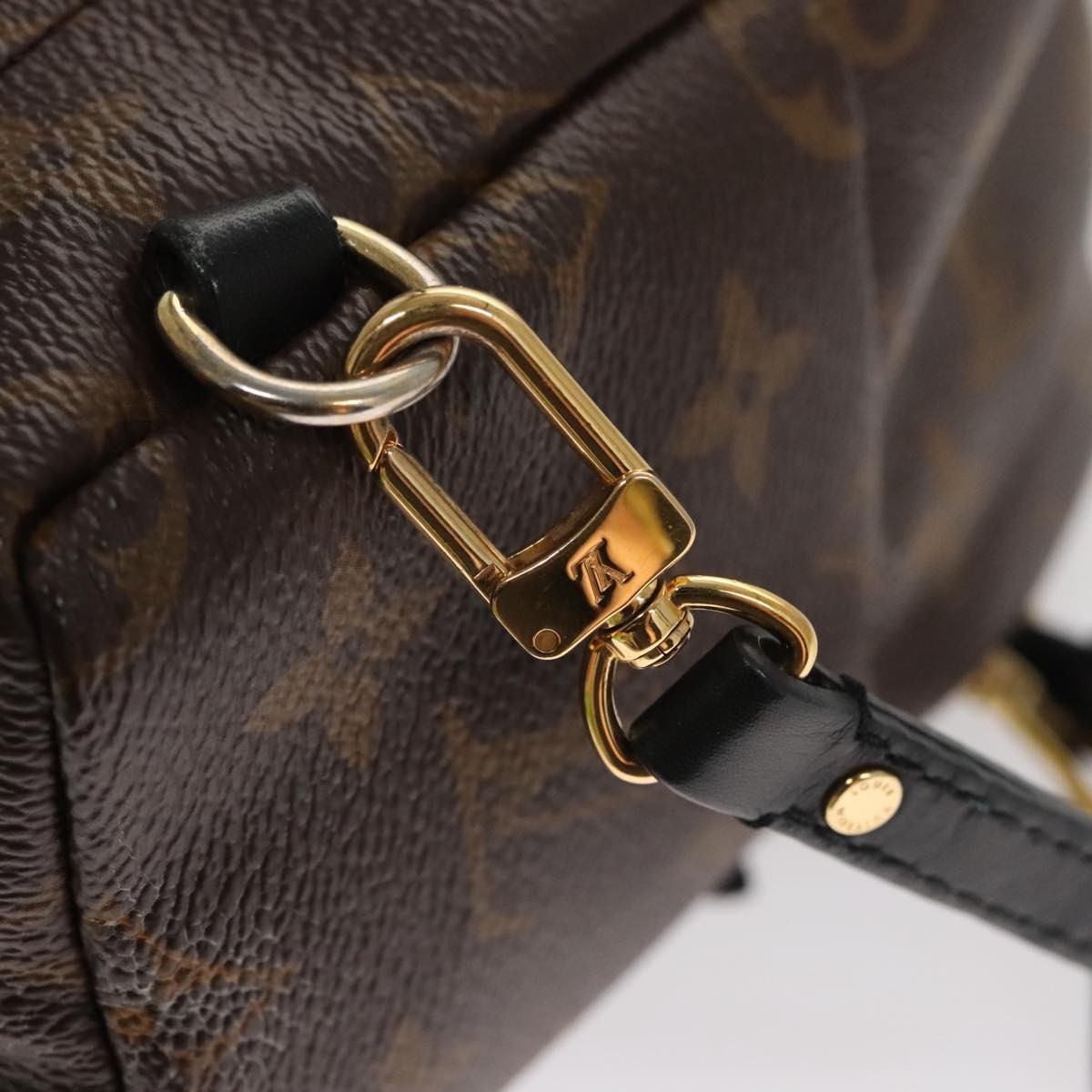 Louis Vuitton Palm Springs Backpack Monogram Canvas, BROWN, CANVAS, Backpack