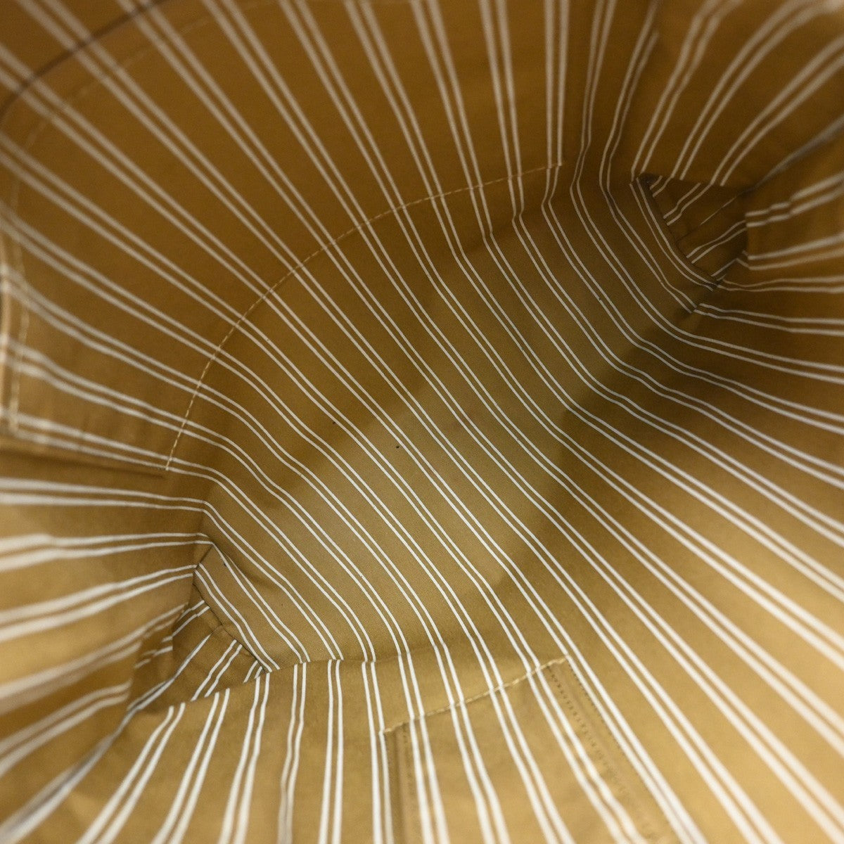 Louis Vuitton Antigua Tote Canvas, BROWN, CANVAS, Tote bag