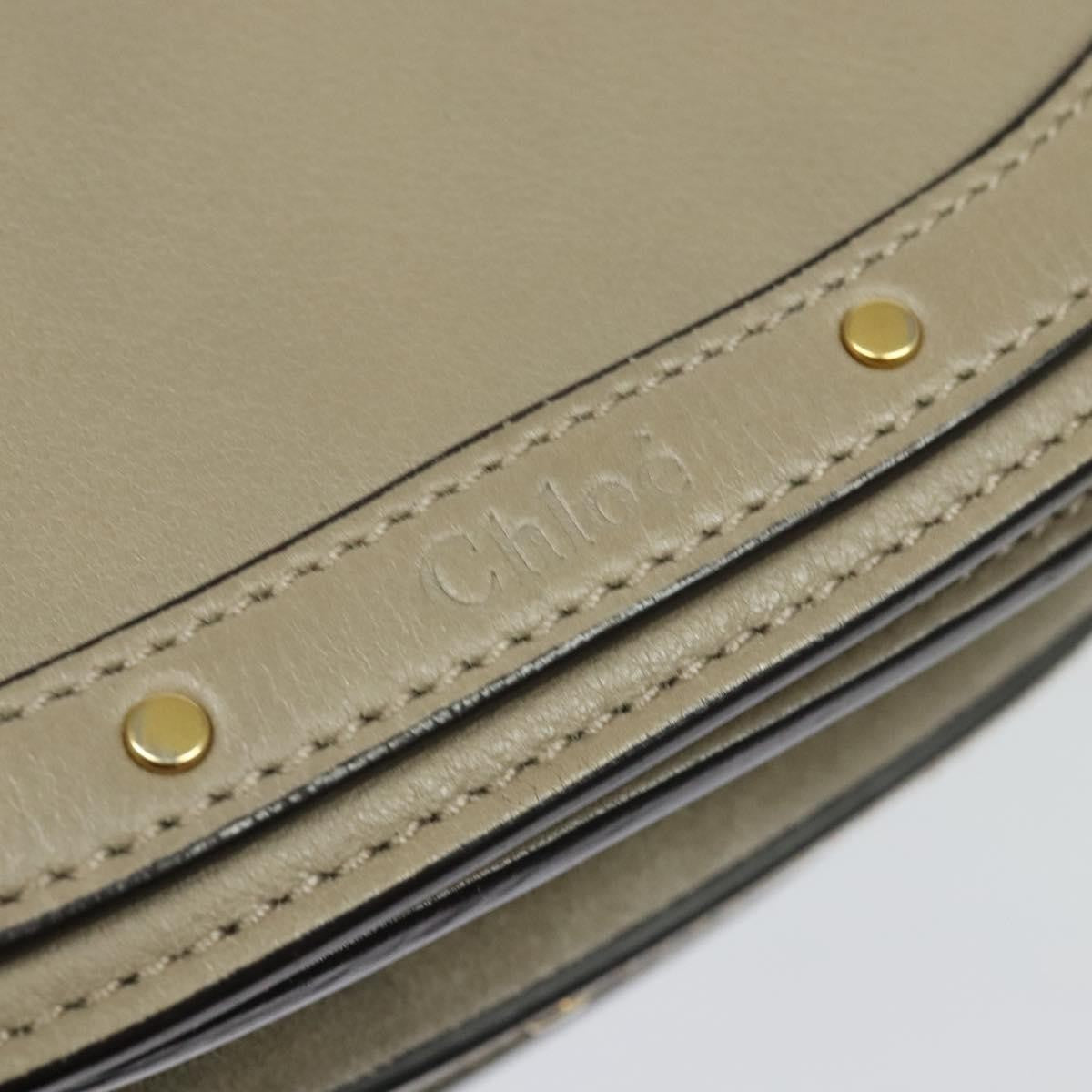 Chloe Nile Crossbody Bag Leather, BEIGE, LEATHER, Shoulder bag