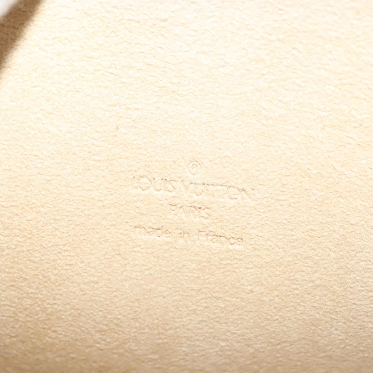 Louis Vuitton Florentine Waist Bag Monogram Canvas, BROWN, CANVAS, Clutche & pouche