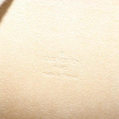 Louis Vuitton Florentine Waist Bag Monogram Canvas, BROWN, CANVAS, Clutche & pouche