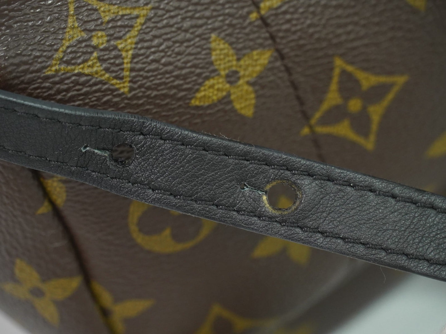 Louis Vuitton Palm Springs Backpack Monogram Canvas, BROWN, CANVAS, Backpack