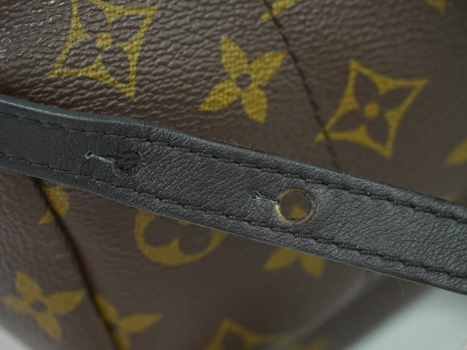 Louis Vuitton Palm Springs Backpack Monogram Canvas, BROWN, CANVAS, Backpack