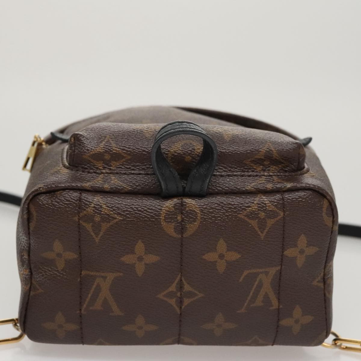 Louis Vuitton Palm Springs Backpack Monogram Canvas, BROWN, CANVAS, Backpack