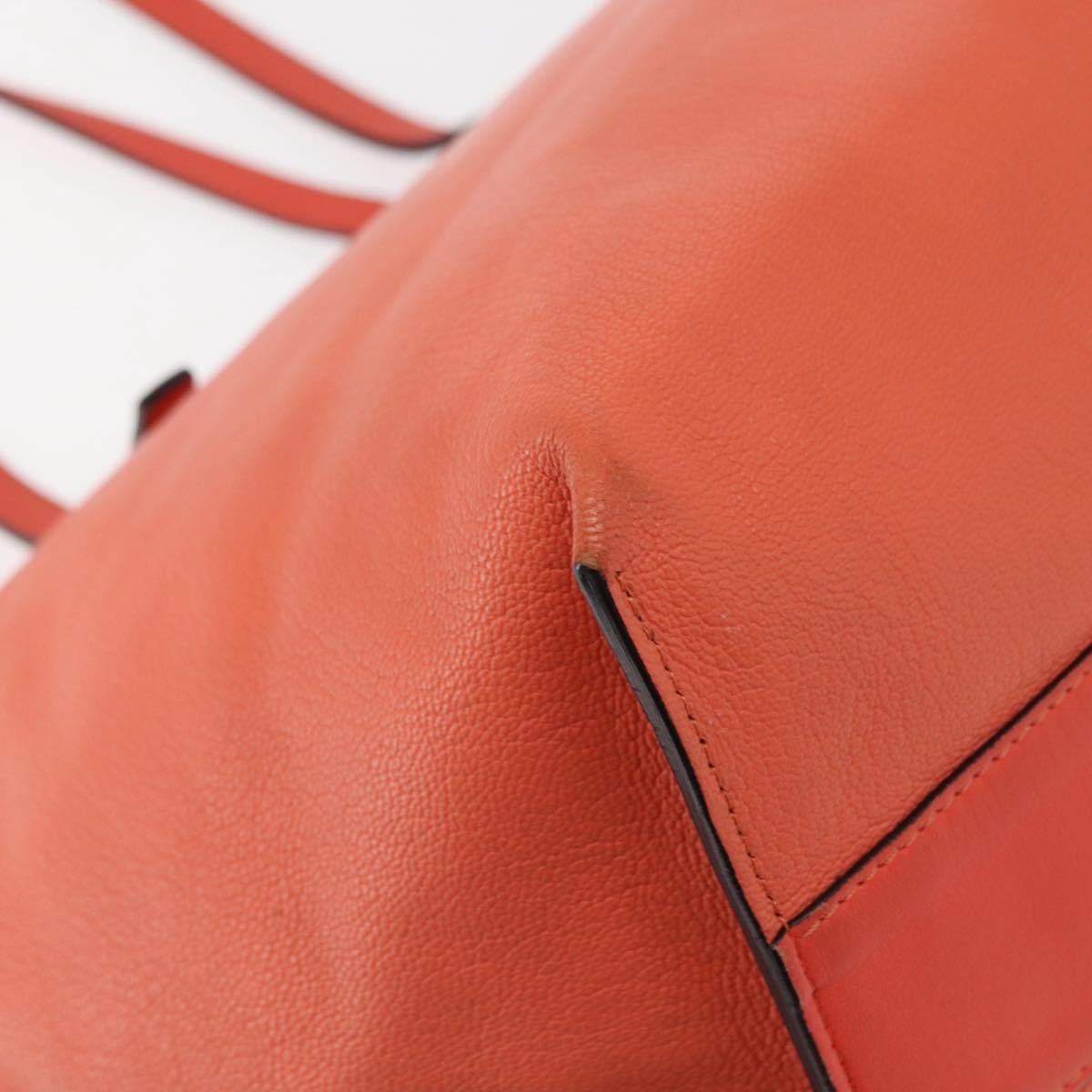 Chloe Dilan Tote Leather, PINK, LEATHER, Tote bag