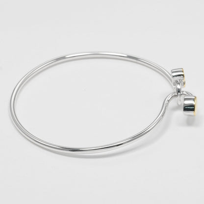 Tiffany & Co. Double Heart Lock Bangle Bracelet Sterling Silver with 18K Yellow Gold, SILVER, SILVER, Bracelet
