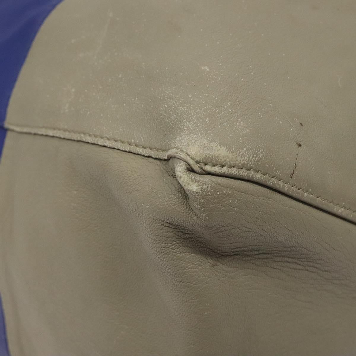 Celine Horizontal Bi-Cabas Tote Leather, BLUE, LEATHER, Tote bag