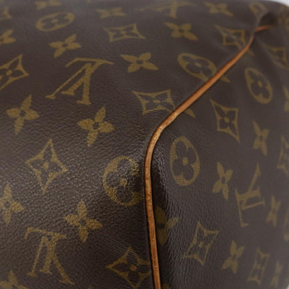 Louis Vuitton Speedy Handbag Monogram Canvas, BROWN, CANVAS, Handbag