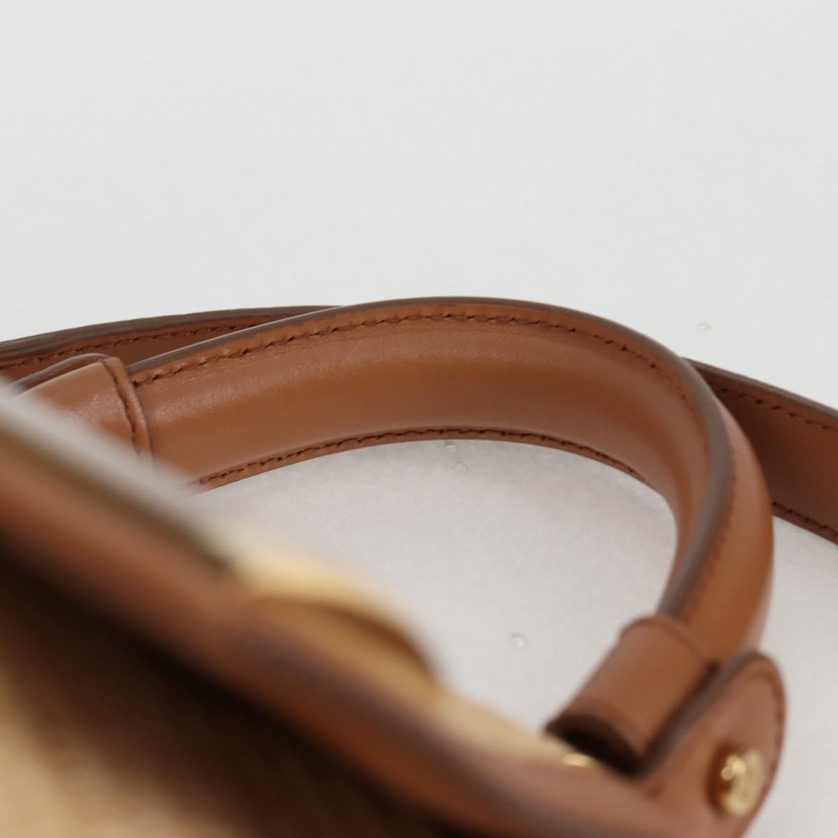 Salvatore Ferragamo Sofia Satchel Raffia with Leather, BEIGE, WOOD, Handbag