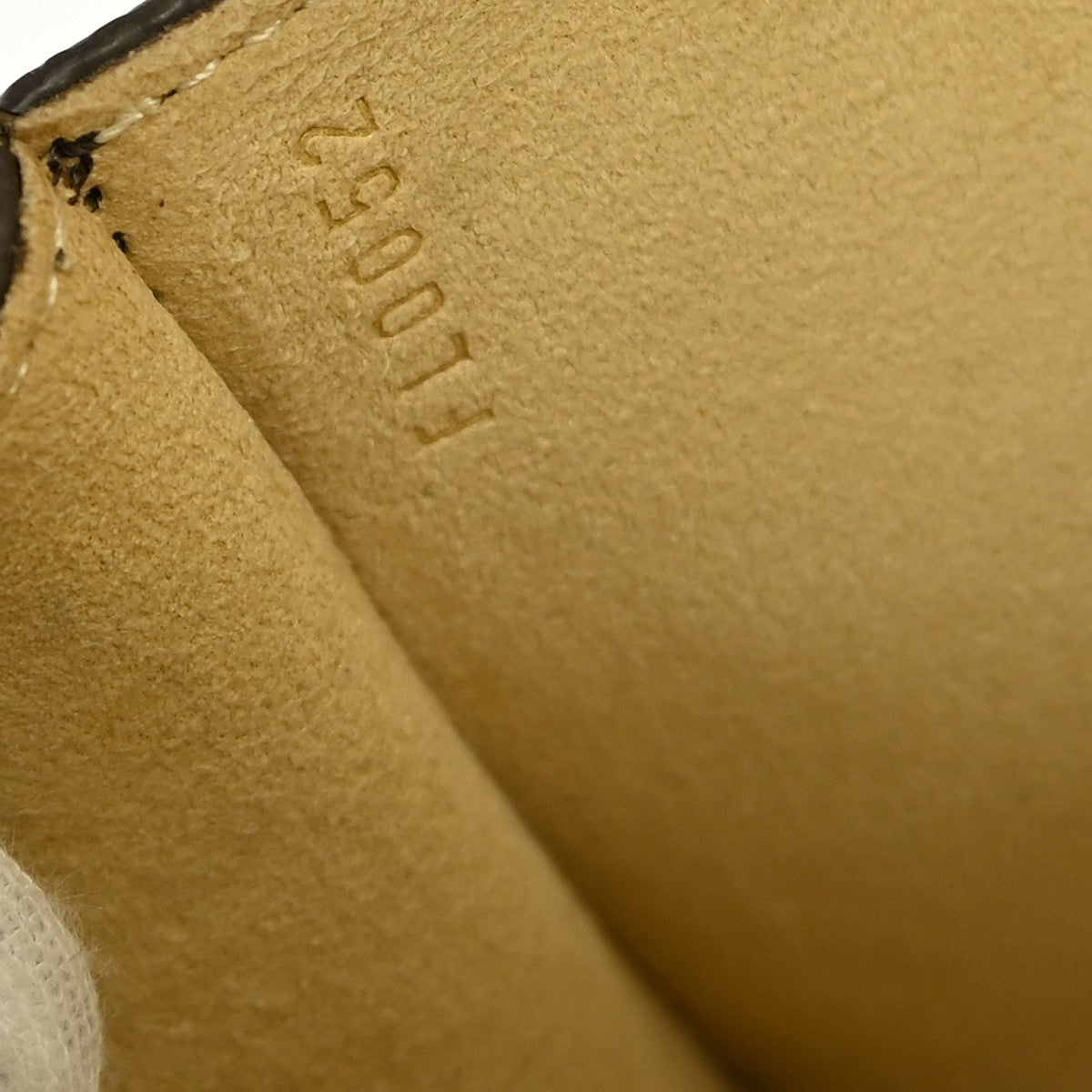 Louis Vuitton Florentine Waist Bag Monogram Canvas, BROWN, CANVAS, Clutche & pouche