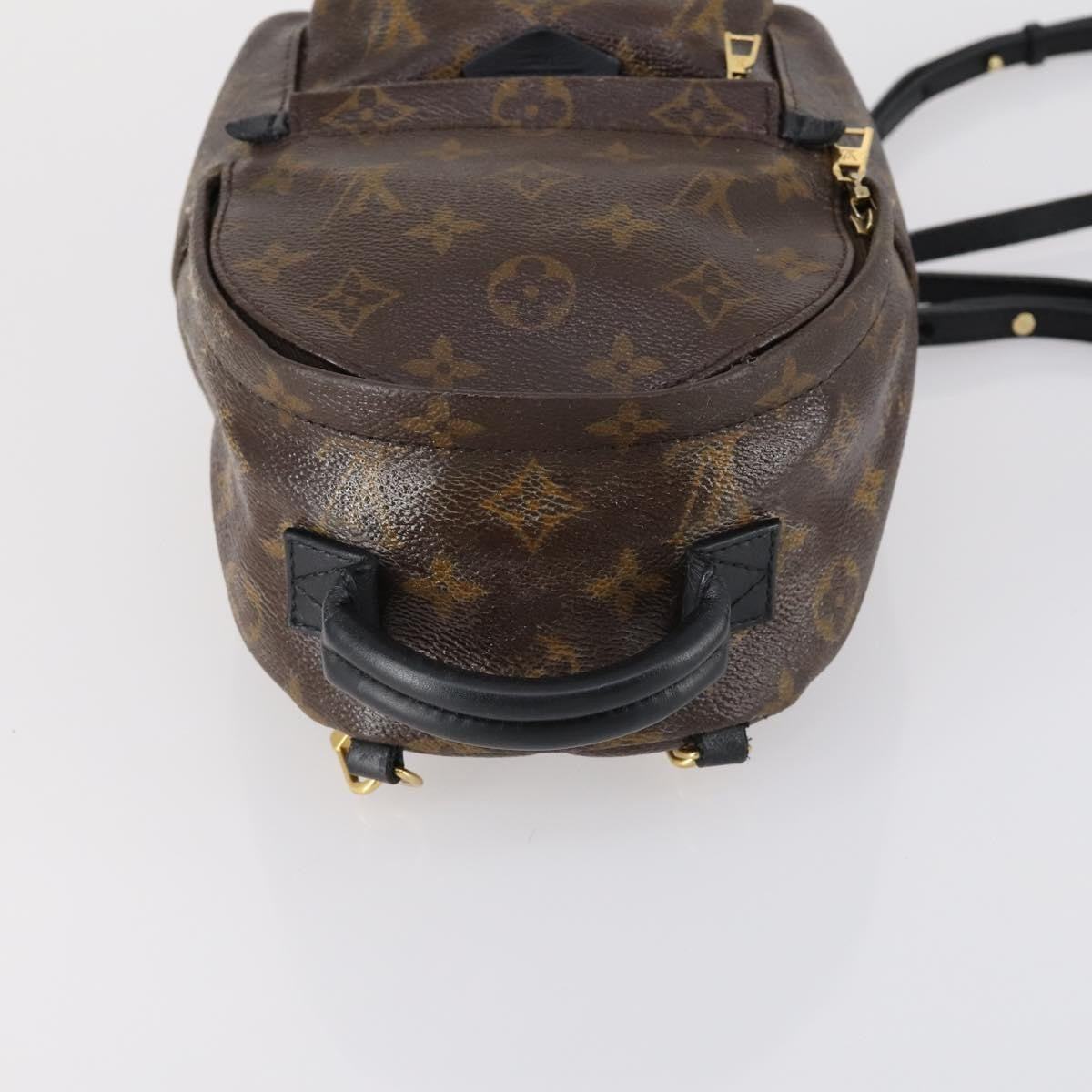 Louis Vuitton Palm Springs Backpack Monogram Canvas, BROWN, CANVAS, Backpack