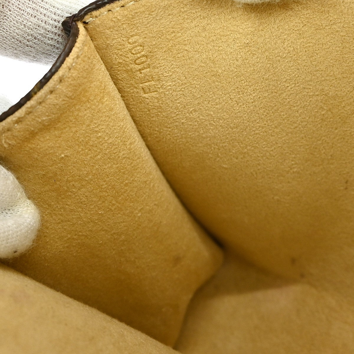 Louis Vuitton Florentine Waist Bag Monogram Canvas, BROWN, CANVAS, Clutche & pouche