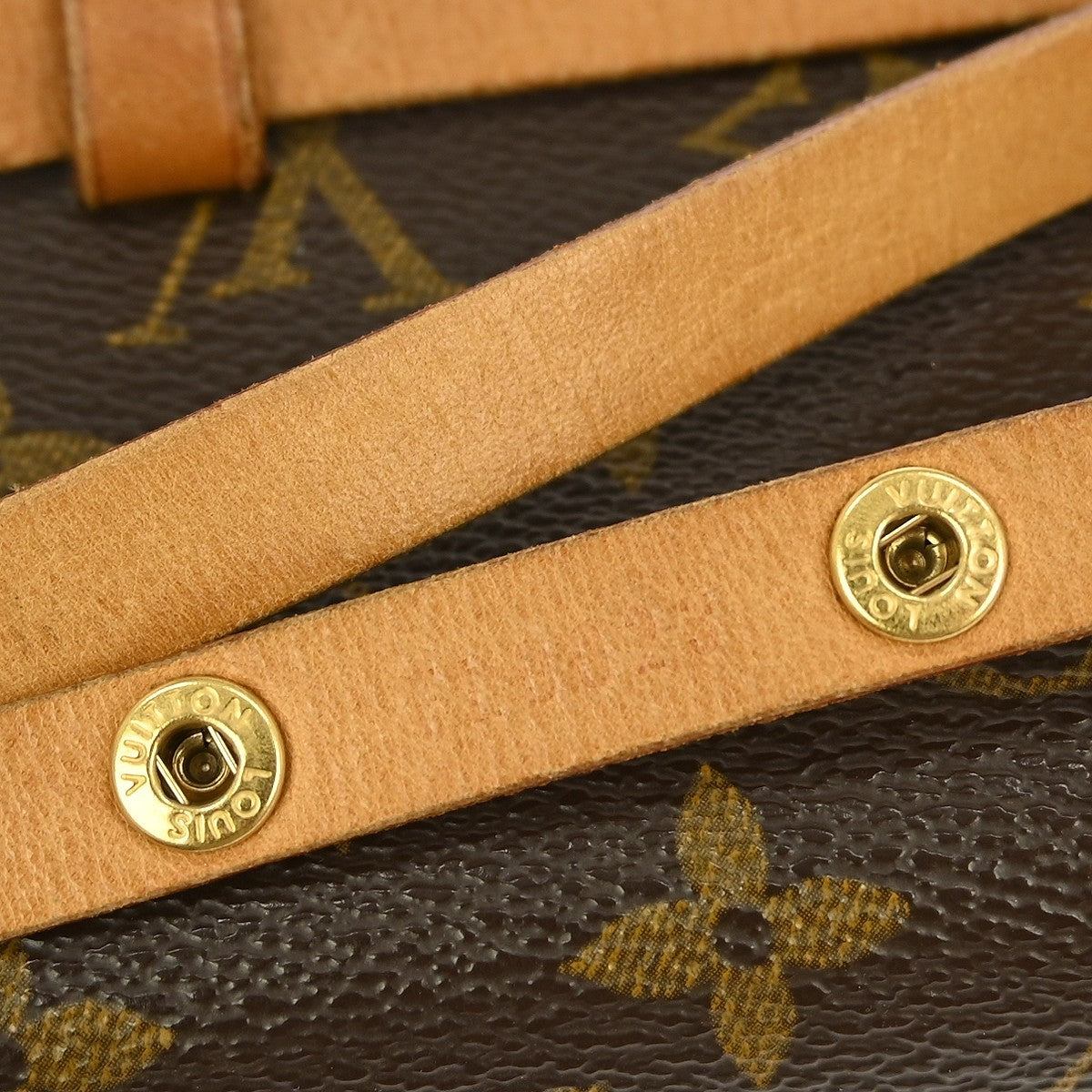 Louis Vuitton Florentine Waist Bag Monogram Canvas, BROWN, CANVAS, Clutche & pouche