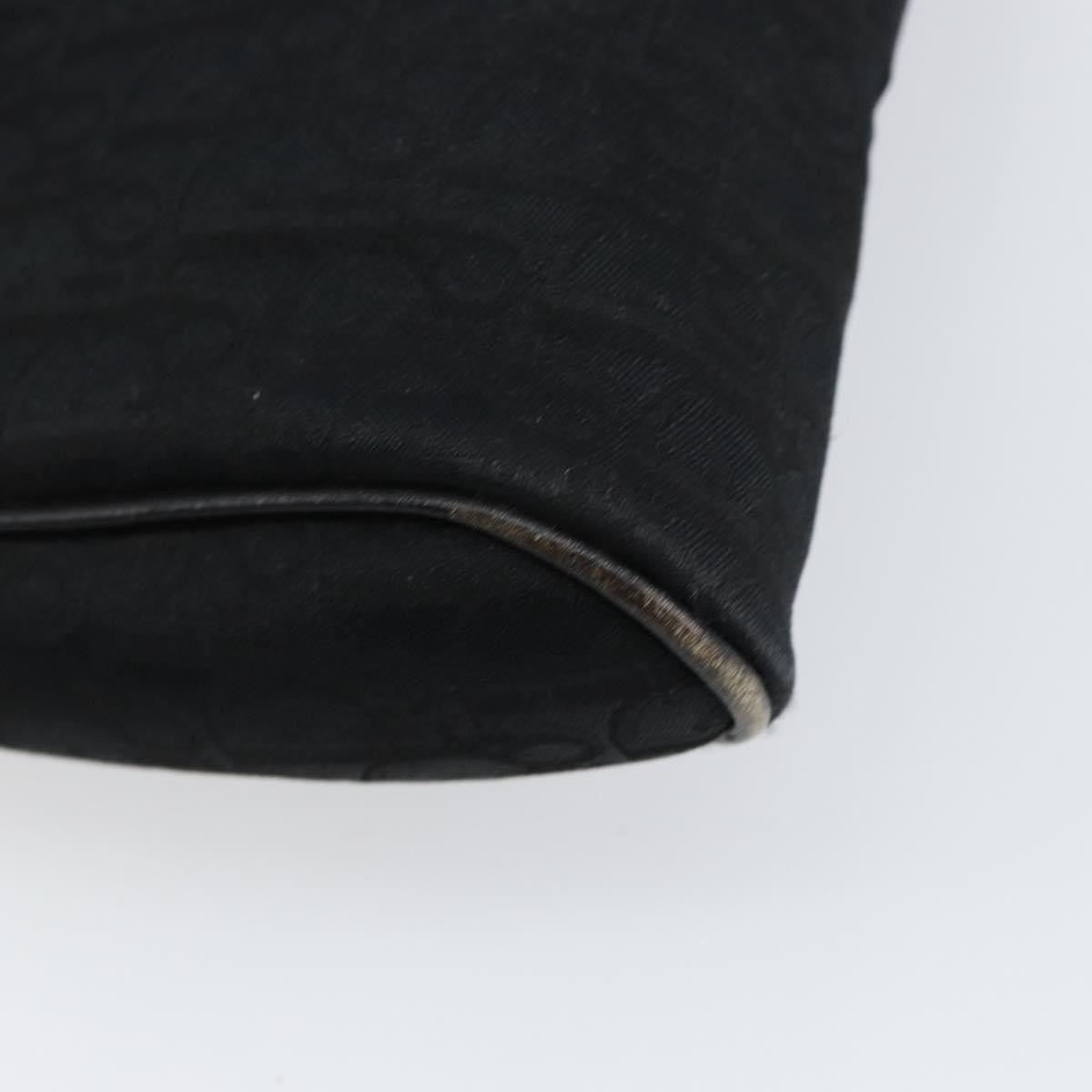 Christian Dior Trotter pouch Diorissimo Canvas, BLACK, CANVAS, Clutche & pouche