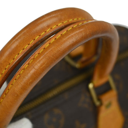 Louis Vuitton Speedy Handbag Monogram Canvas, Brown, Canvas, Handbag