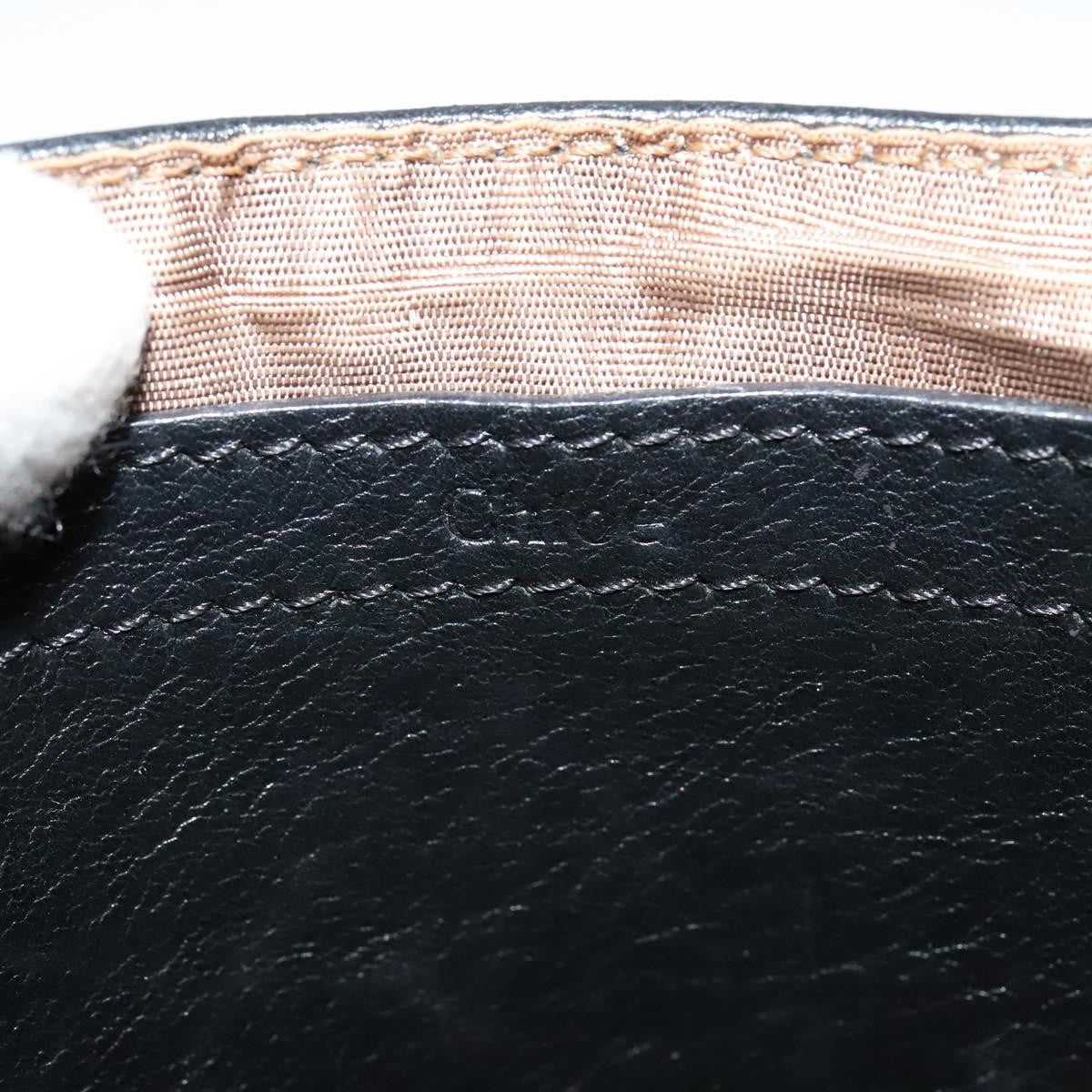 Chloe Lily Handbag Leather, BLACK, LEATHER, Handbag