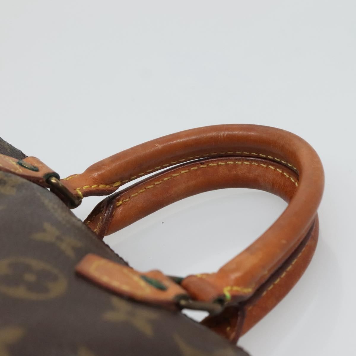Louis Vuitton Speedy Mini HL Handbag Monogram Canvas, BROWN, CANVAS, Handbag