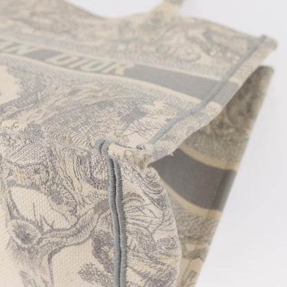 Christian Dior Book Tote Embroidered Canvas, GRAY, CANVAS, Tote bag